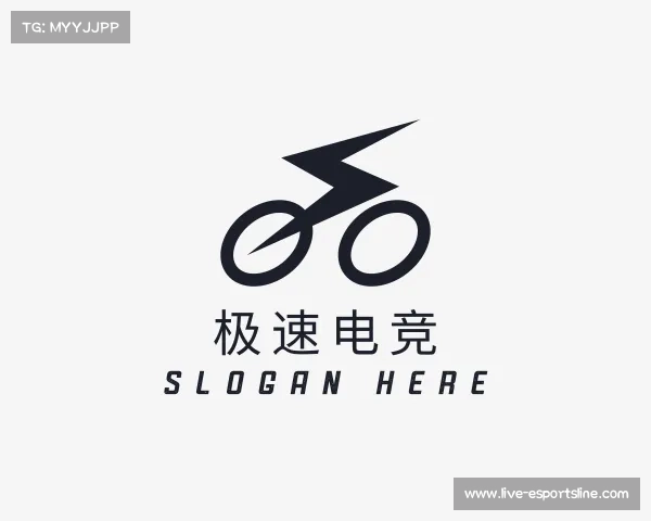 介绍极速电竞